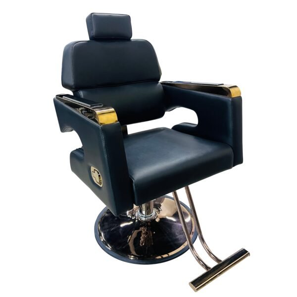 Silla de Salón Profesional Onyx & Gold Luxury